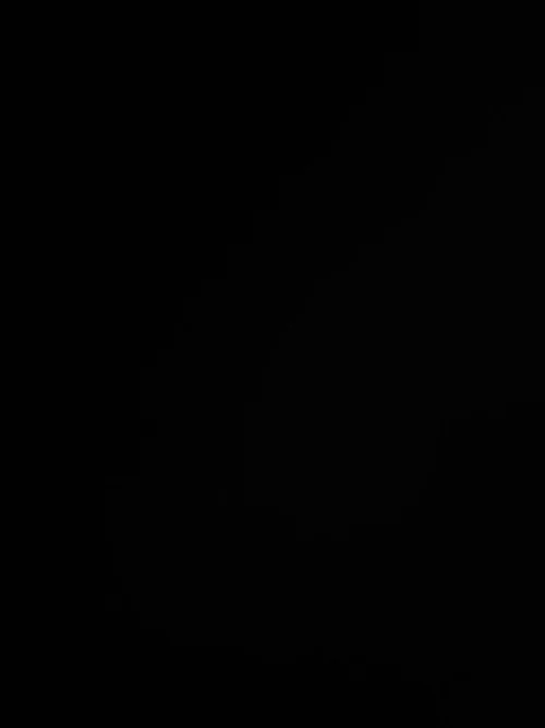 Orbis Dinosaurs The Complete Set Volumes 1-8 | All Magazines & All Binders | 90s